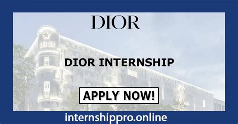 lvmh internships summer 2025|dior internship summer 2024.